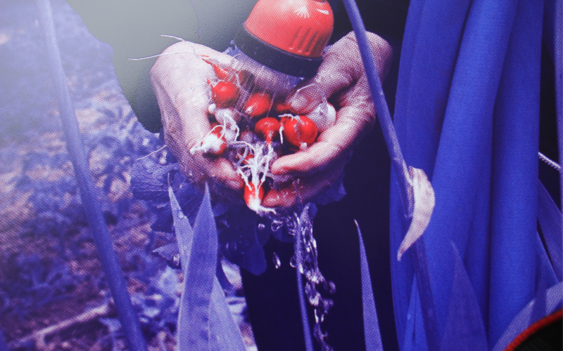 70 ans, Secours Populaire Français