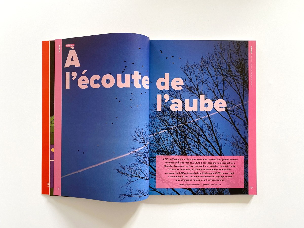 Futura, le magazine