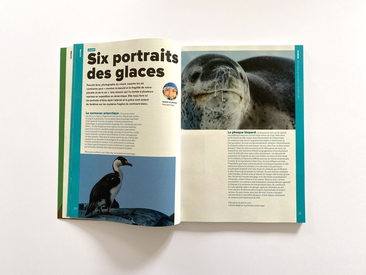 Futura, le magazine
