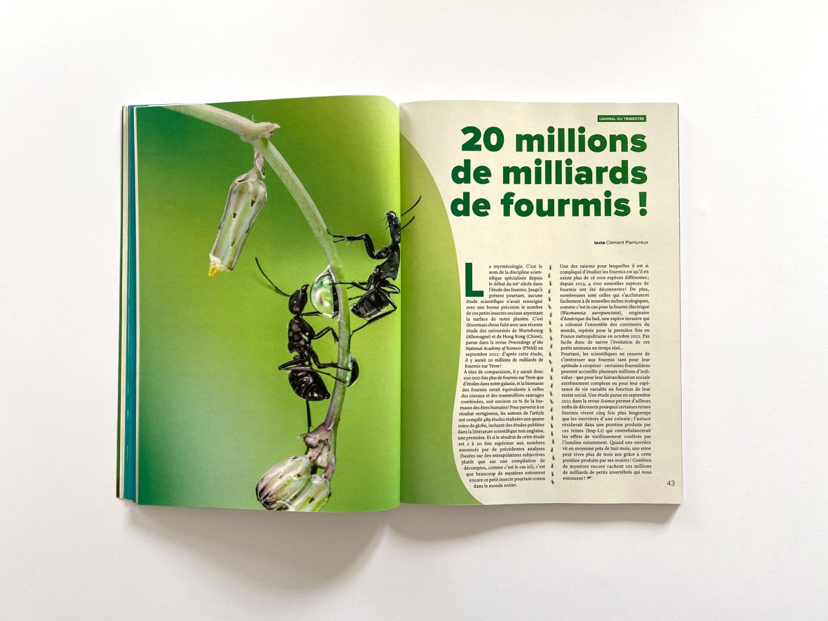 Futura, le magazine
