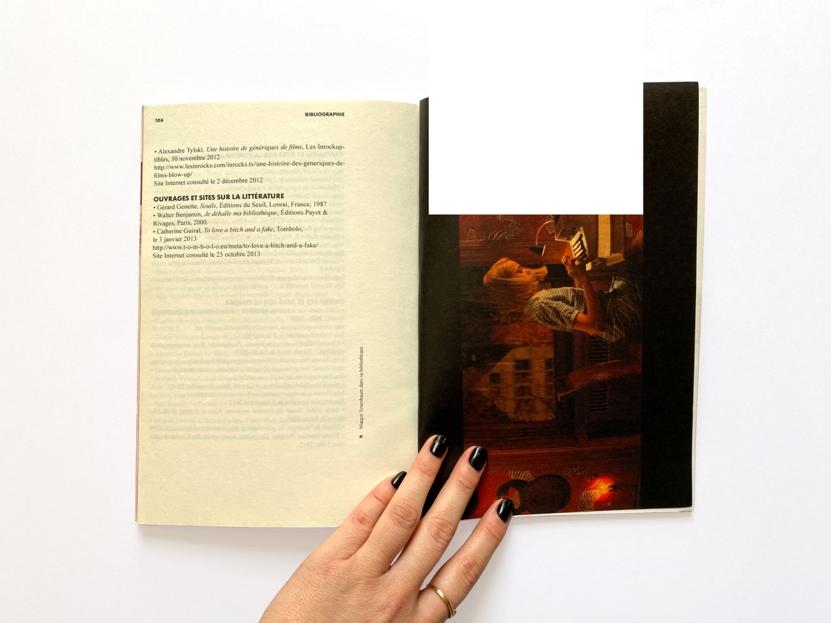Mémoire de fin d'études, Wes Anderson et le design graphique
