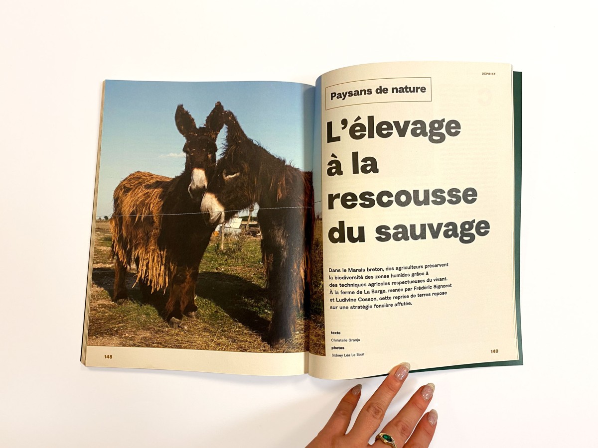 Socialter, les hors-séries